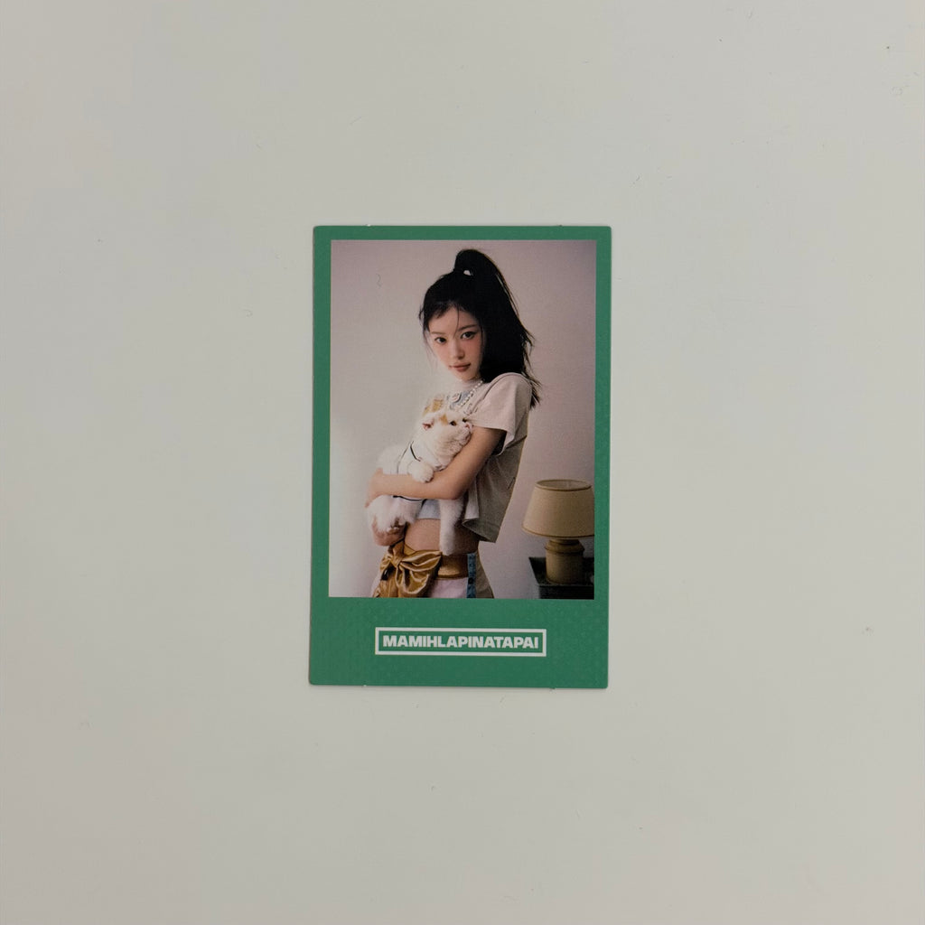 Polaroid illit Moka