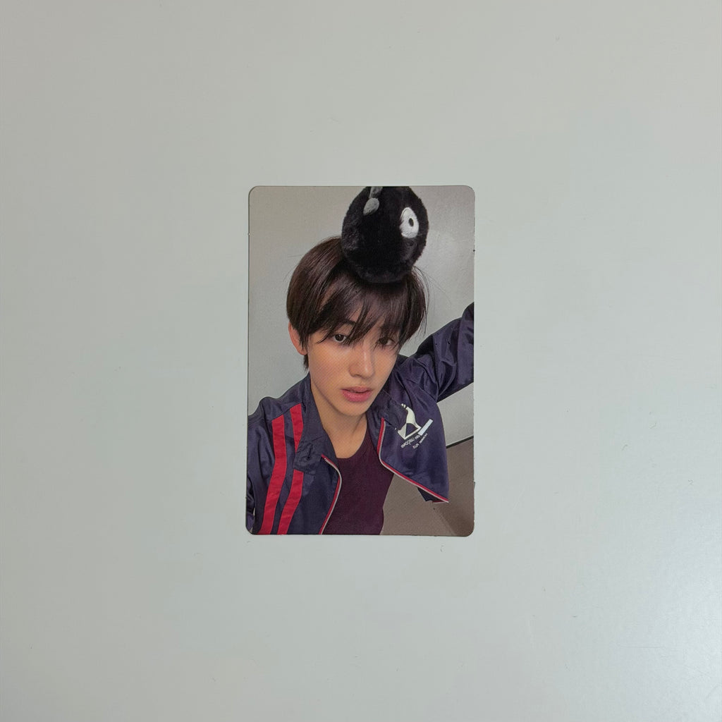 Photocard Cortis Seonghyeon