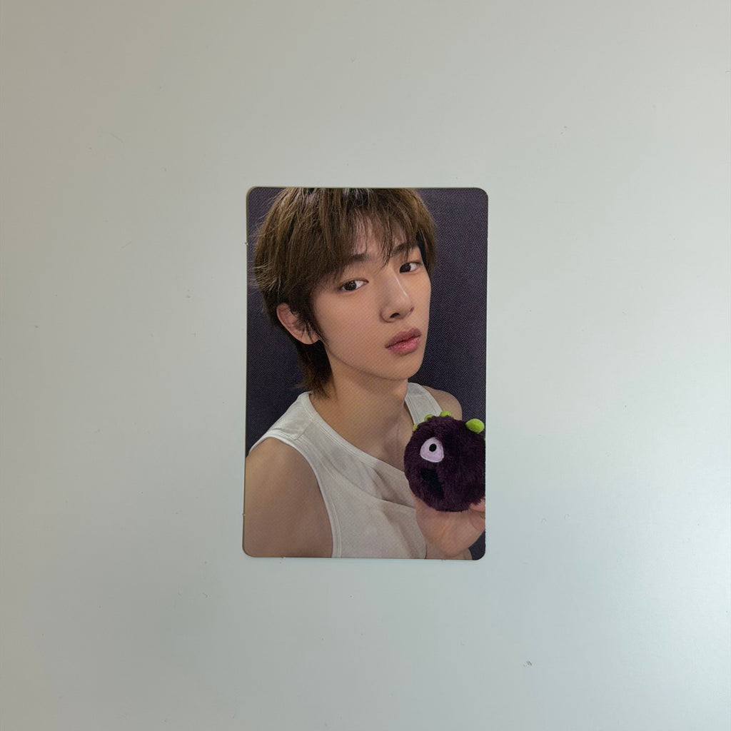 Photocard Cortis Juhoon