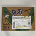 Álbum V LAYOVER versión verde