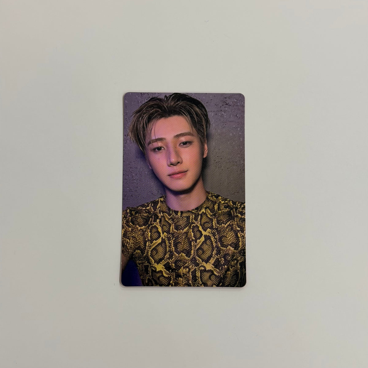 Photocard Enhypen Sunghoon