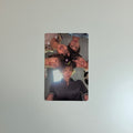 Photocard Cortis