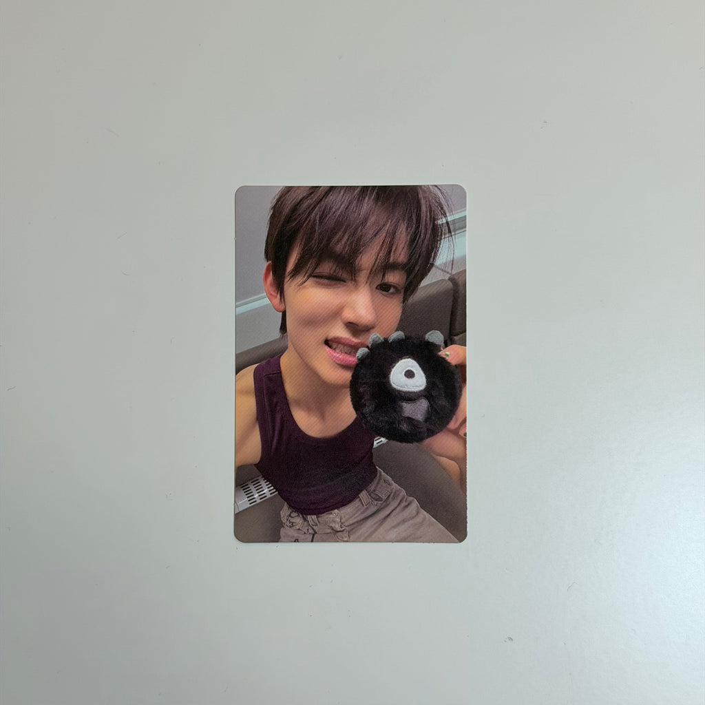 Photocard Cortis Seonghyeon