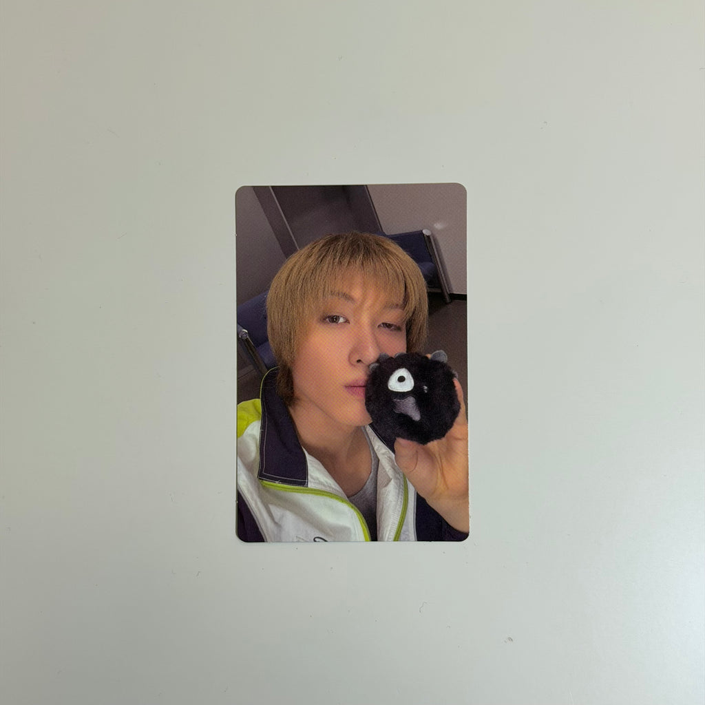 Photocard Cortis Martin