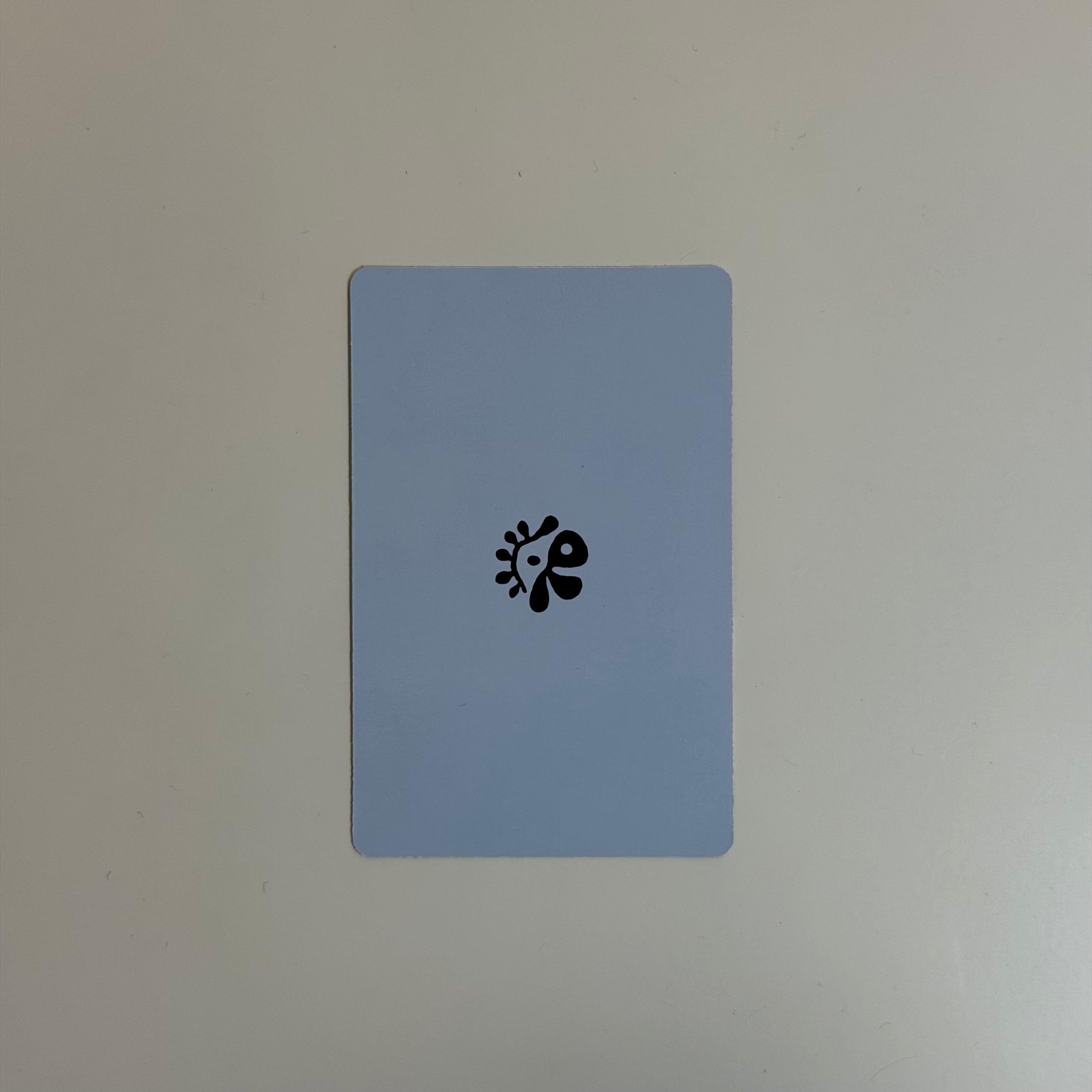 Photocard Cortis Seonghyeon