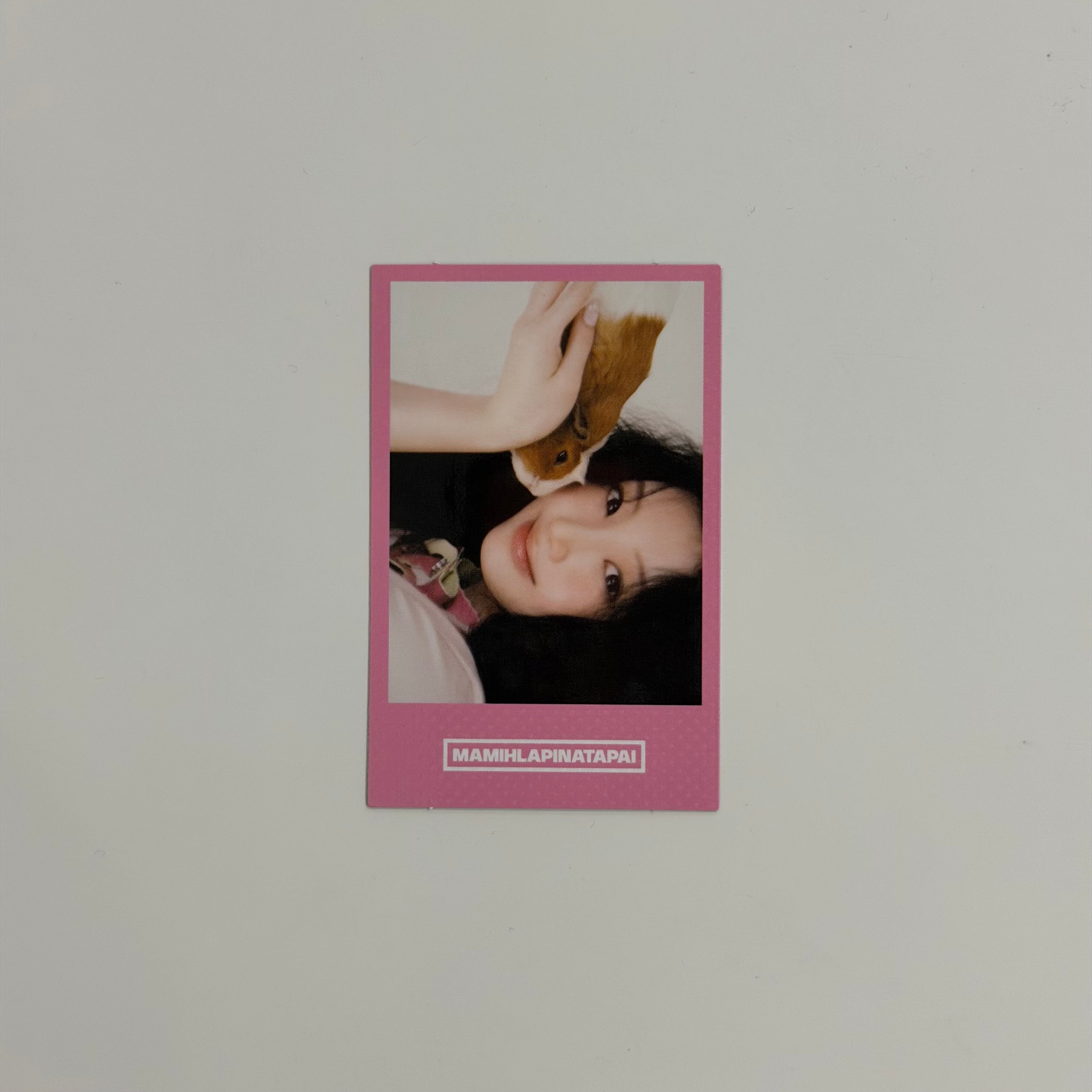 Polaroid illit Wonhee